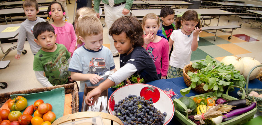 Healthy fruits and veggies in schools
