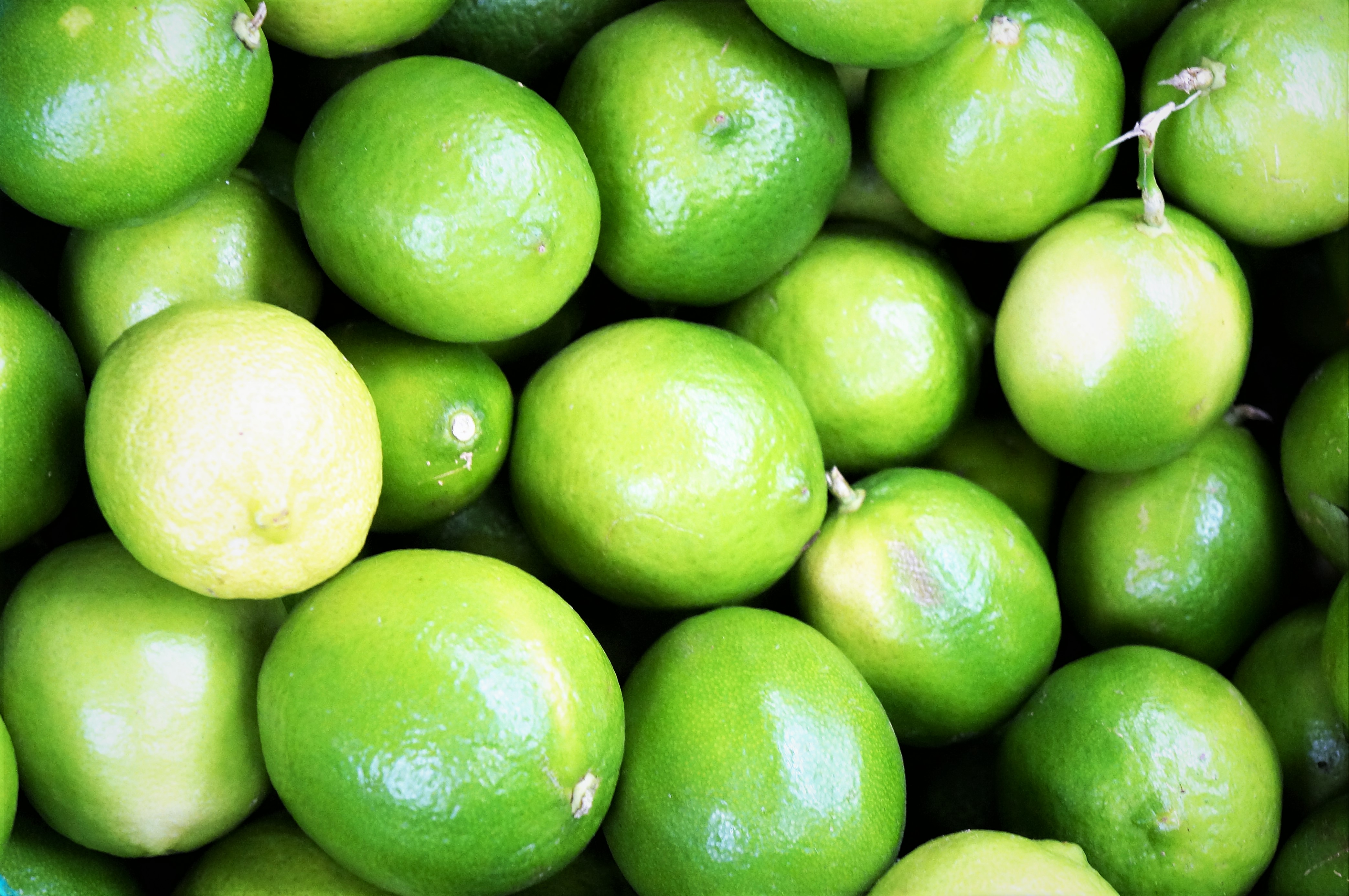 sale-is-it-good-to-eat-limes-in-stock